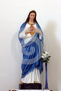 Immaculate Heart of Mary