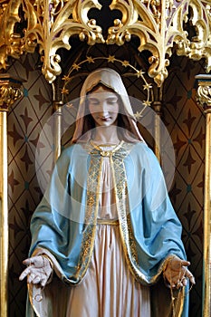 Immaculate Heart of Mary, the altar in the church of Saint Joseph in Slatina, Croatia