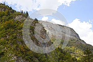 The immensity of the mountains with a forest of pine trees