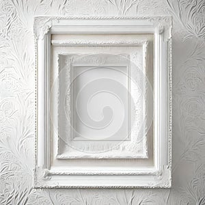 Double-Frame Elegance: White-on-White Canvas