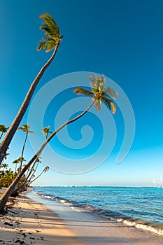 Punta Cana\'s Bavaro Beach. photo