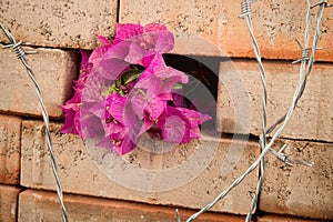 Immigration issues concept