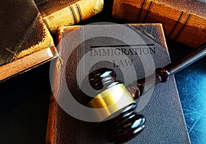 Immigration Law concept