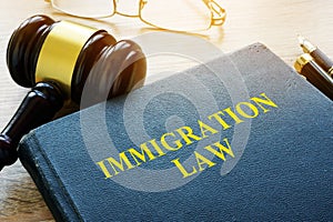 Immigration law and gavel.
