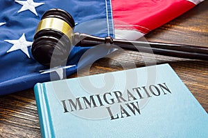 Immigration law, wooden gavel and American flag.