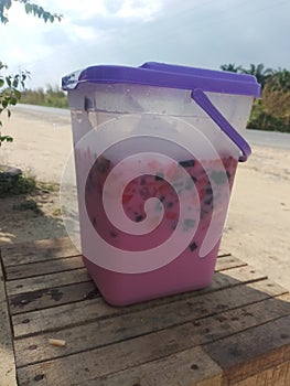 immortalize the moment of fruit ice to break the fast