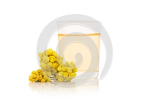 Immortelle flowers & tincture on white background