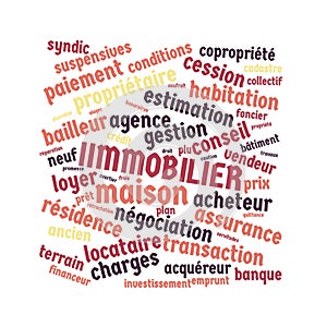 Immovable word cloud vector illustration in French language