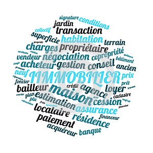 Immovable word cloud vector illustration in French language