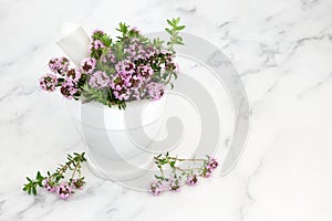 Immune Boosting Thyme Herb for Good Health