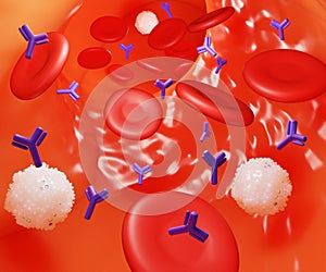 An immune response initially involves the production of antibodies in the blood flow photo