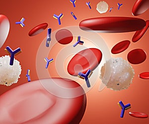 An immune response initially involves the production of antibodies in the blood flow photo