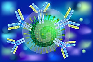 Immune responses to viruses