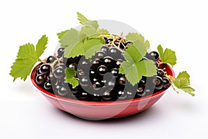 Immune system booster. Black currant isolated on white background.