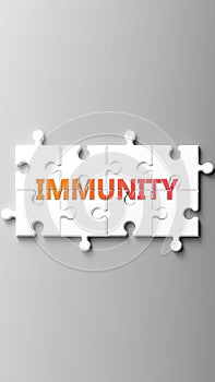 Immunity complex like a puzzle - pictured as word immunity on a puzzle pieces