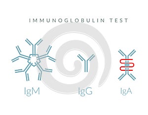 Immunoglobulin Test - Complex Protein - Icon