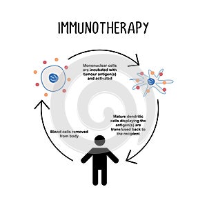 Immunotherapy: The use of drugs or other substances to stimulate the body\'s immune system