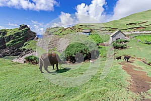 Imnajbu Old Naval Base Alapad, Batan Island , Batanes