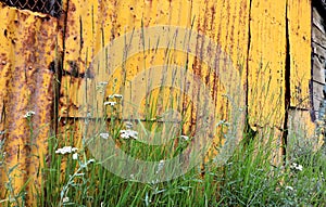 Imogene Pass Ghost Town Tractor Shed