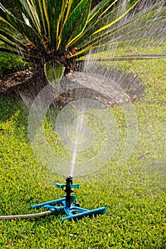 Impact garden sprinkler, Spain.