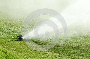 Impact sprinkler on lawn in action