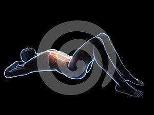 Impacted wisdom tooth