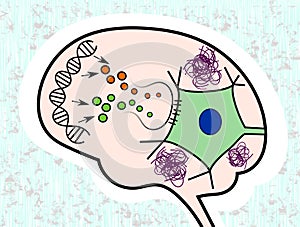 Impaired signalling in Alzheimer's Disease