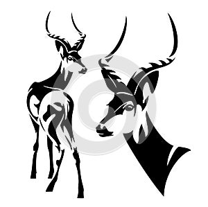 Impala antelope black vector design set photo