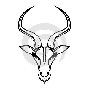 Impala head Suitable for use as decoration or logo Line art vector of springbok head Suitable for use as photo