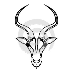 Impala head Suitable for use as decoration or logo Line art vector of springbok head Suitable for use as