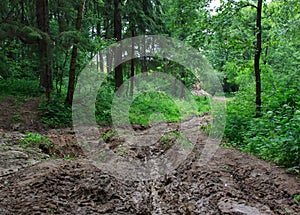 Impassable forest road of mud and clay