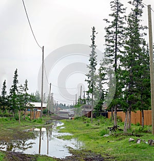 Impassable North road street with puddle and mud in the village of Yakutia Suntar with spruce trees.