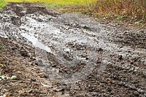 Impassable road, off-road track in autumn forest