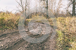 Impassable road, off-road track in autumn forest