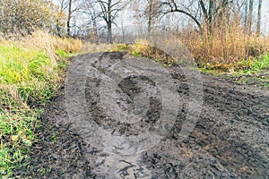 Impassable road, off-road track in autumn forest