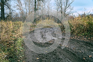 Impassable road, off-road track in autumn forest