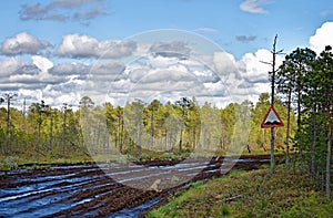 An impassable road in the Siberian taiga photo