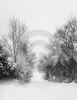 Impassable snow covered road in winter