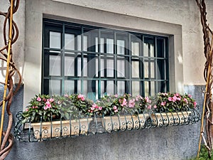 Impatient hawkers flowers hanging on outside windows photo