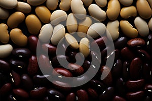 Impeccably linked, various sizable bean types create a harmonious pattern