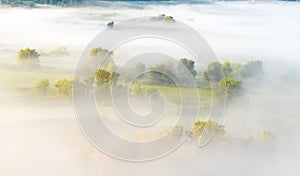 Impenetrable fog over green field