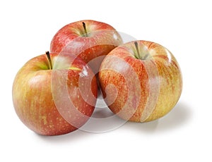 Imperatore apple on white background