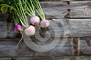 Imperfect organic turnips, fresh green tops on authentic wood background