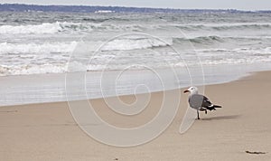 Imperial Beach