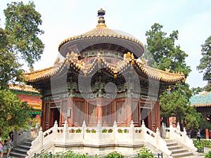 The Imperial Garden in Forbidden Palace