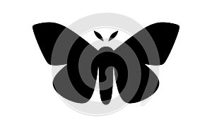 Imperial Moth, Eacles imperialis vector illustration on white