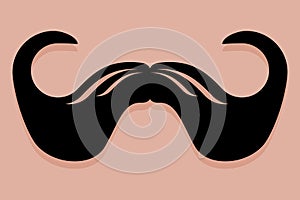 Imperial Moustache Icon Vector