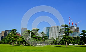 Imperial Palace East Garden of Tokyo, Japan