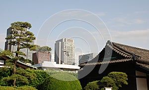 Imperial Palace Gardens Buildings, Tokyo