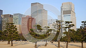 Imperial Palace Kokyo Gaien National Garden with Tokyo skyscrapers, Japan.